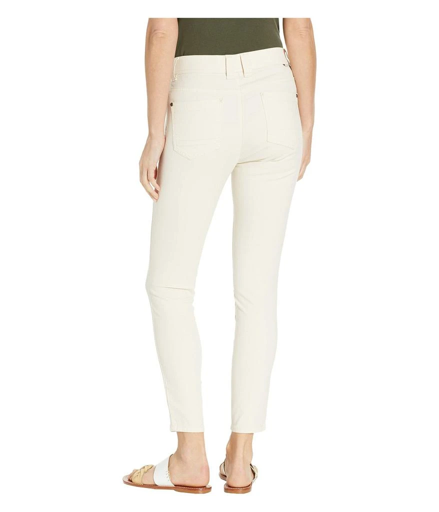 Toad & Co Earthworks Ankle Pants 3