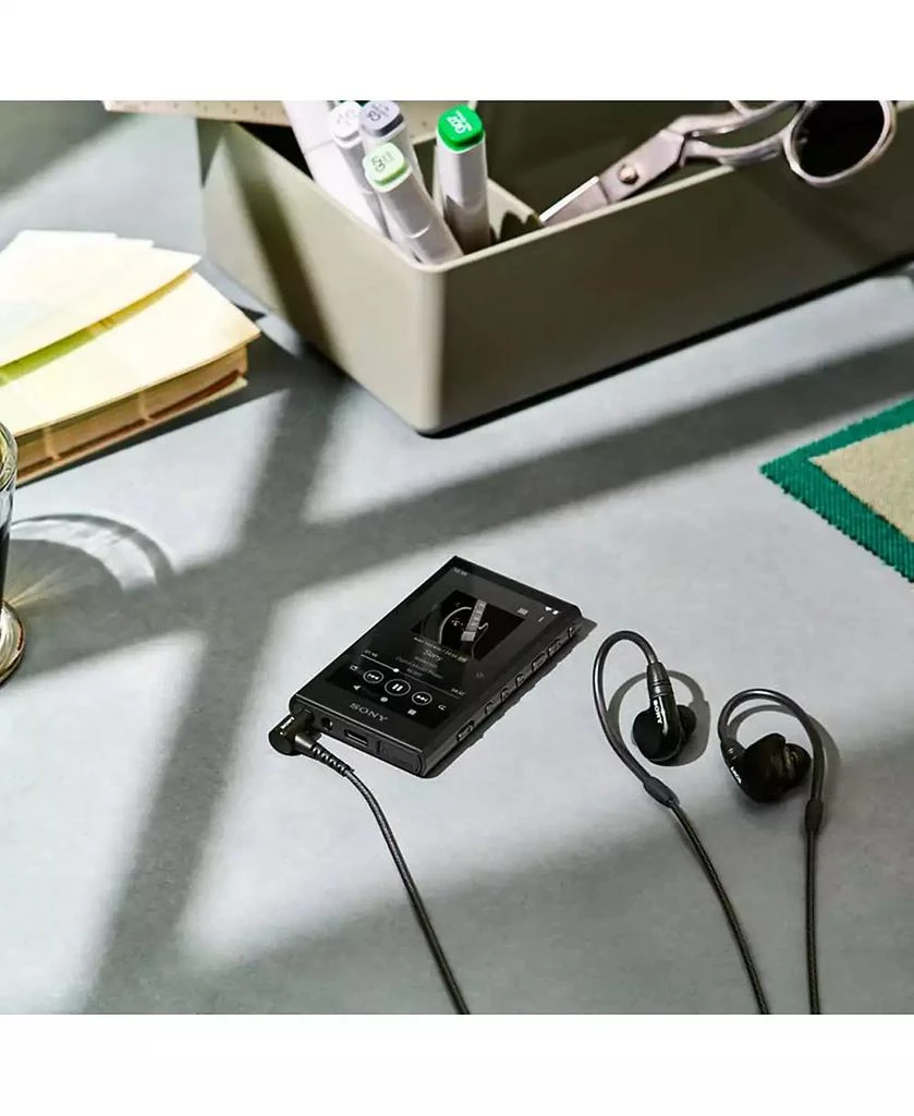 SONY NW-A306 Walkman A Series Hi-Res Digital Music Player 9
