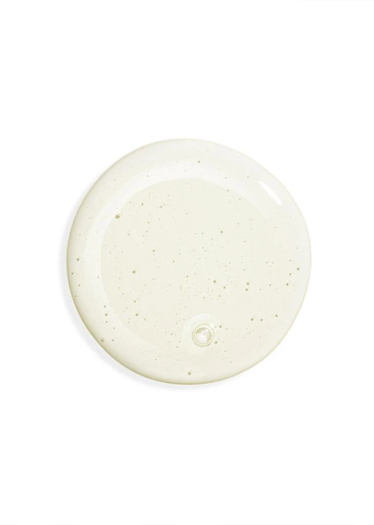 Sisley Hair Rituel Gentle Purifying Shampoo 500ml 2