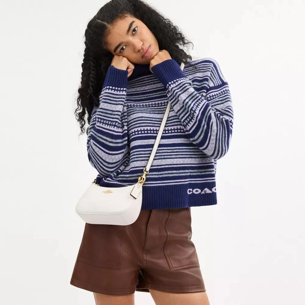 Coach Teri Mini Crossbody Bag 2