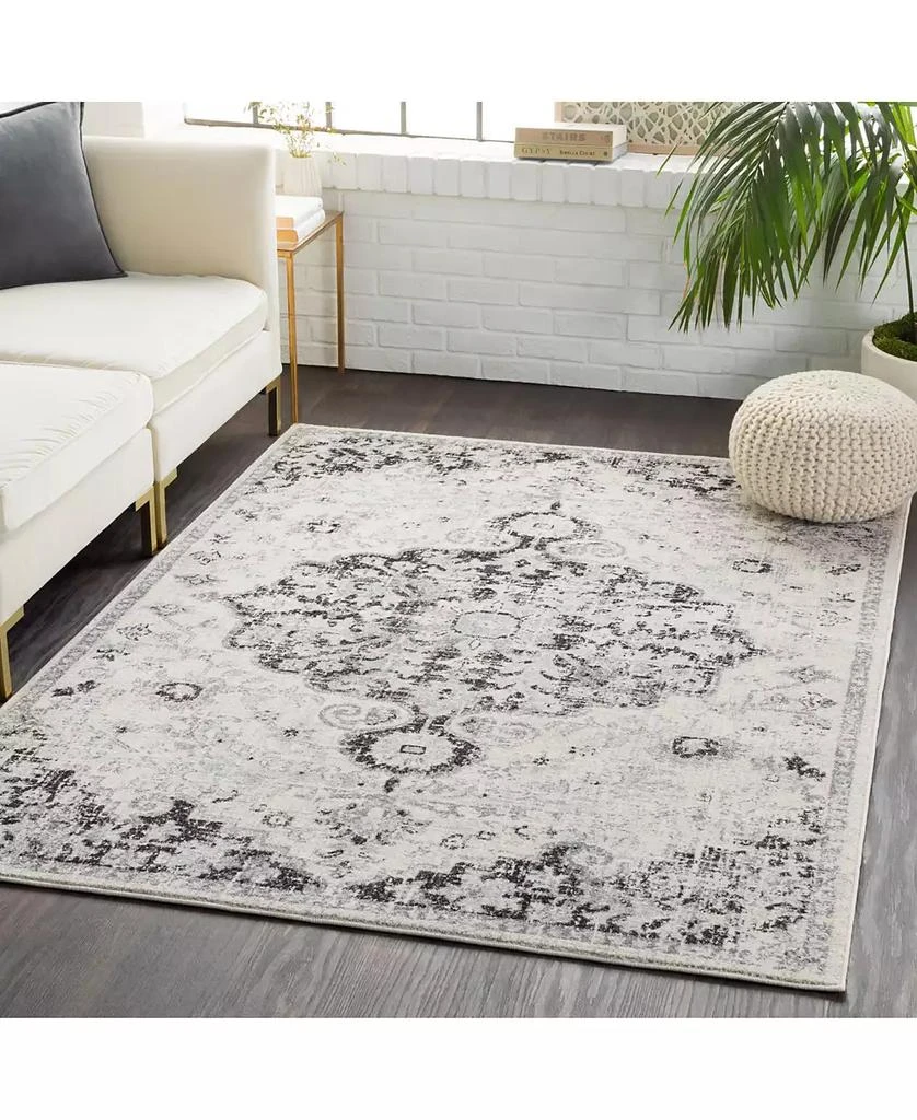 Surya Harput HAP-1061 Beige 3'11" x 5'7" Area Rug 6