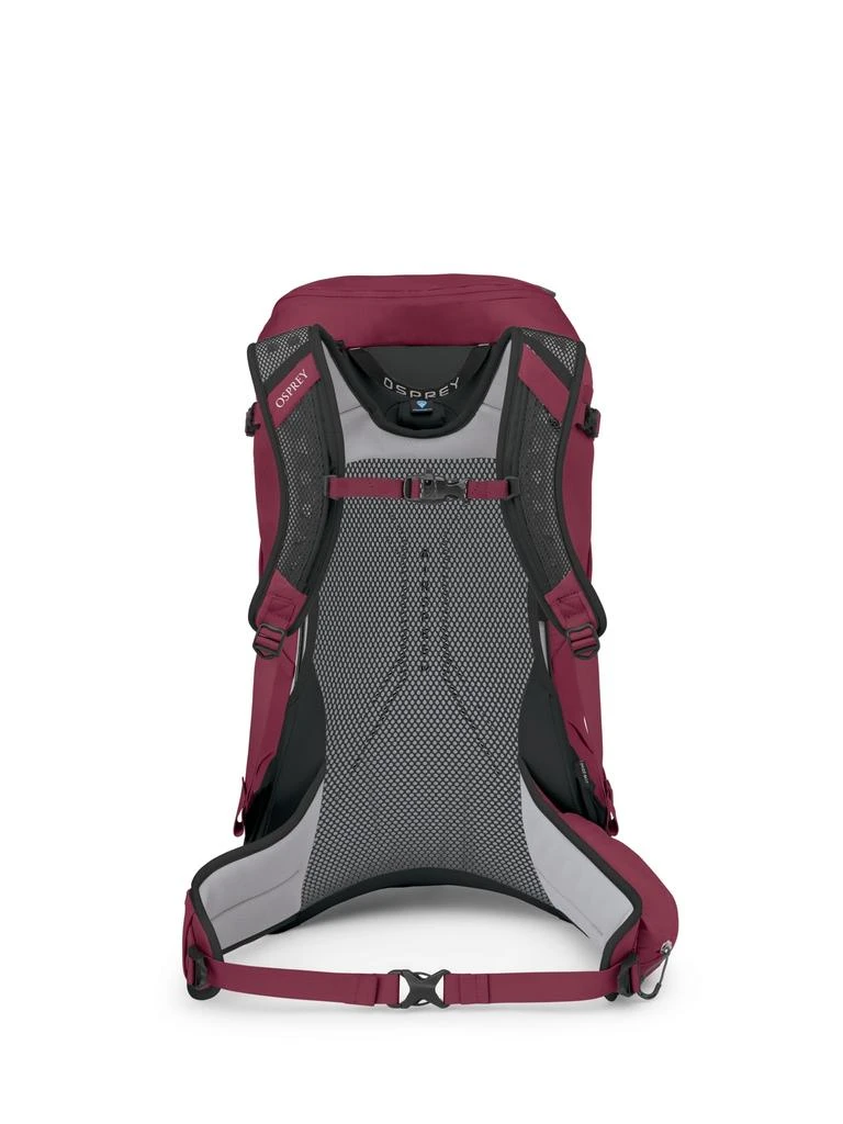 Osprey Osprey Hikelite 32L Lightweight Hiking Backpack - Durable Travel Daypack with Rain Cover for Men and Women, Chameleon/Black, M/L 9