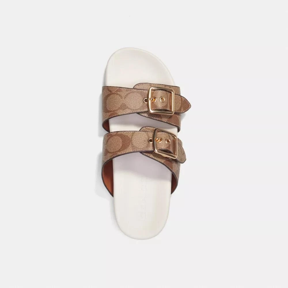 Coach Allanah Sandal In Signature Canvas 3
