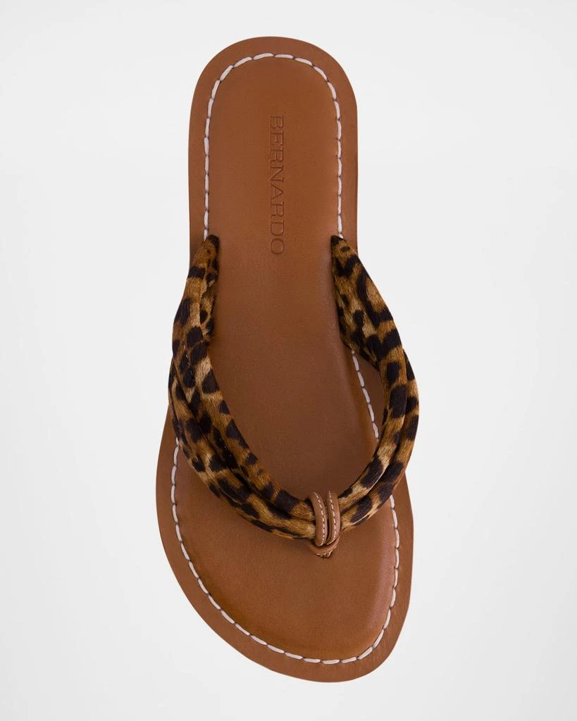 Bernardo Miami Leopard Flat Thong Sandals 4
