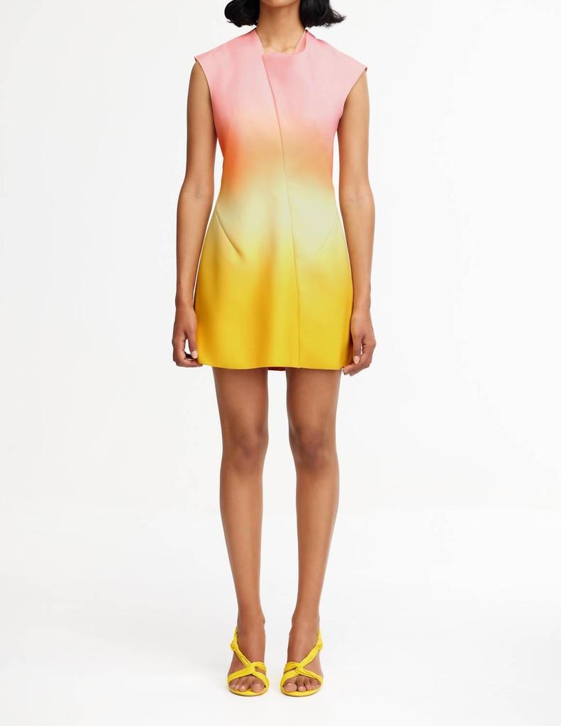 Acler Acler - Warfield Mini Dress