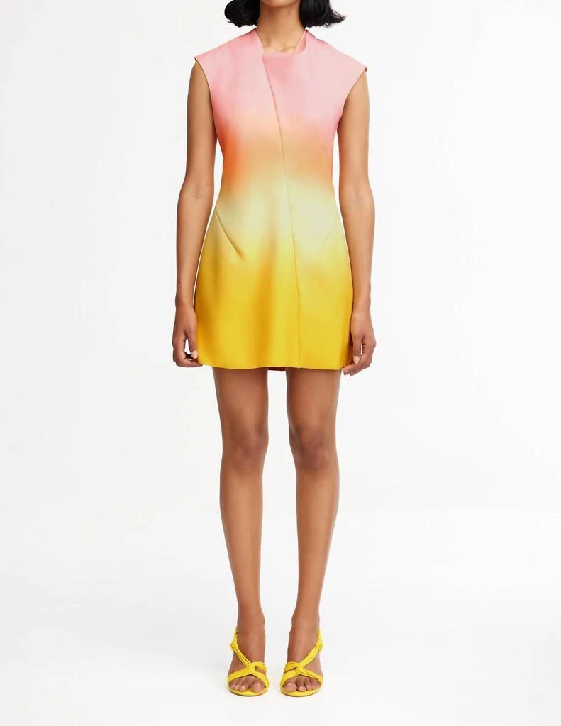Acler Acler - Warfield Mini Dress 1