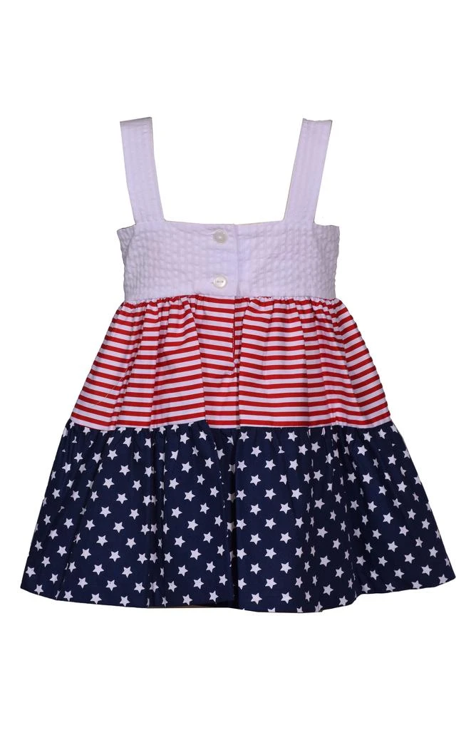 Iris & Ivy Americana Dress 2