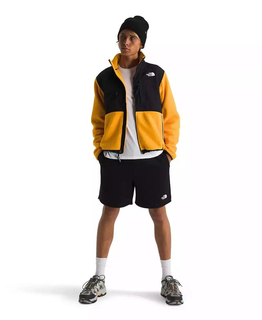 The North Face Men's Denali Fleece Jacket 3