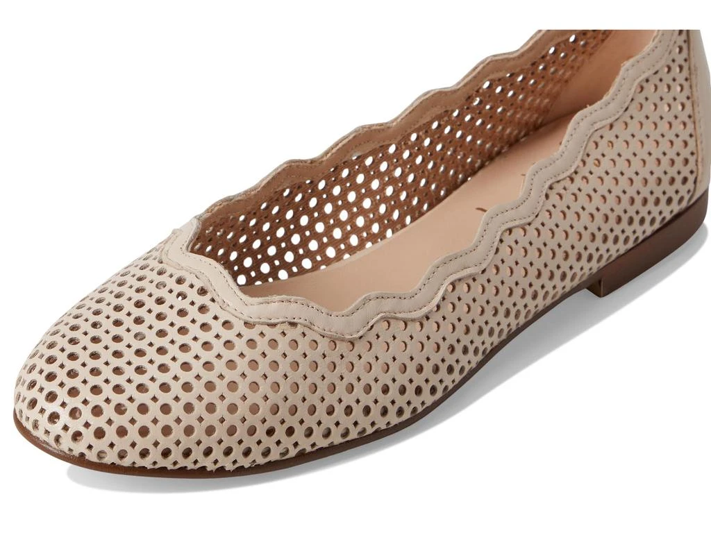 French Sole Nymph 6