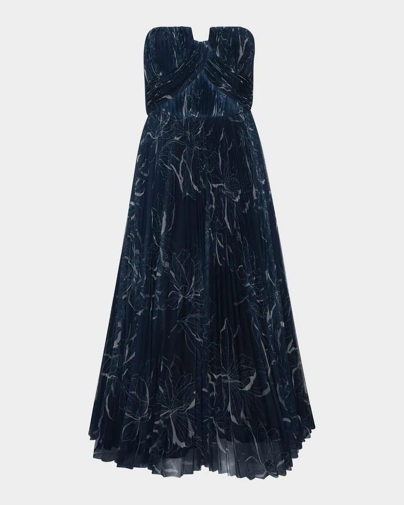 Hutch Corene Pleated Floral-Print Tulle Ankle Gown 1
