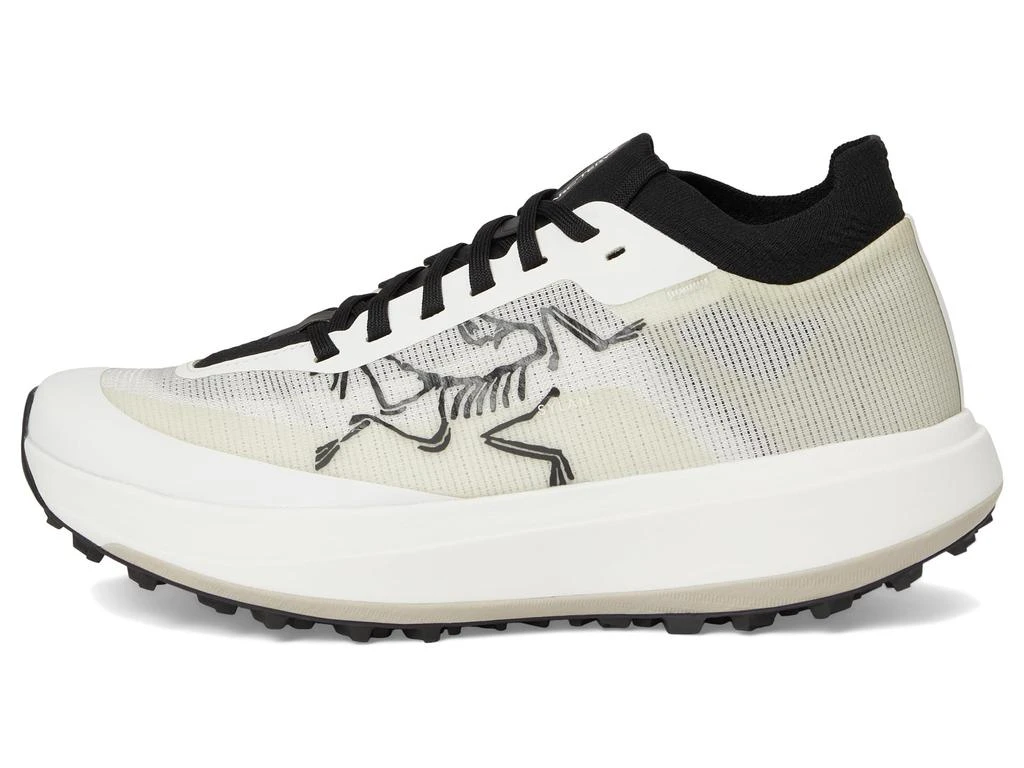 Arc'teryx Sylan Pro 4