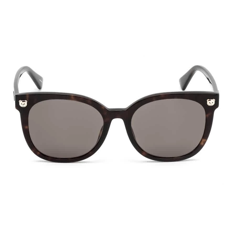 Moschino Moschino Brown Cat Eye Ladies Sunglasses MOS088/F/S 0086/70 55 2