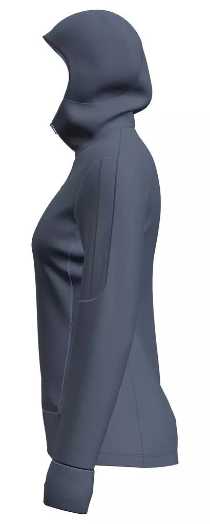 Icebreaker icebreaker Women's Merino 260 Quantum IV Long Sleeve Zip Hoodie 4