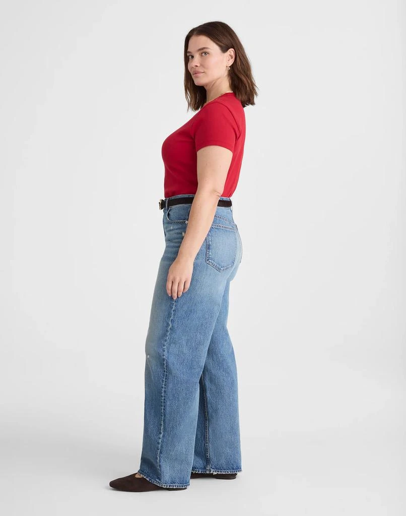 Madewell Plus Curvy Low-Slung Baggy Jeans in Robertson Wash 3