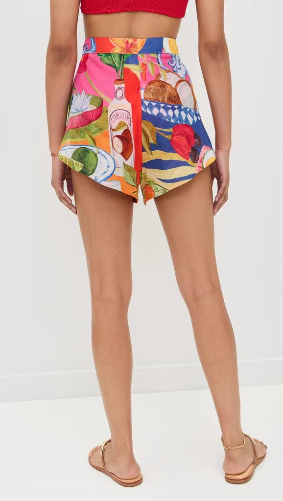 Farm Rio Summer Picnic Shorts 2