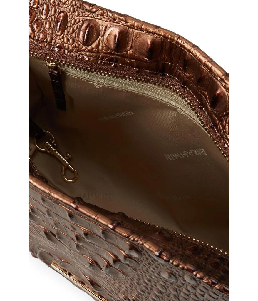 Brahmin Hillary 3