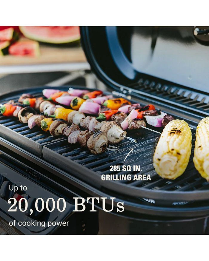 Coleman RoadTrip™ 285 Standup Propane Gas Grill 2