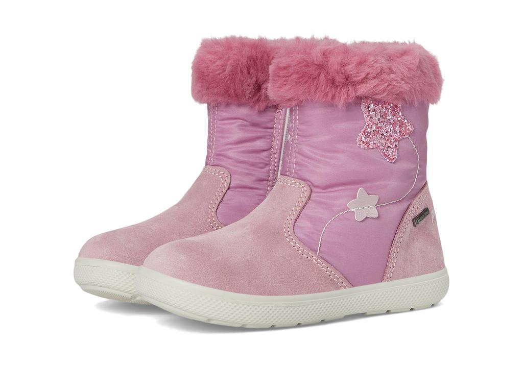 Primigi Kids PSNGT 68501 (Toddler/Little Kid)