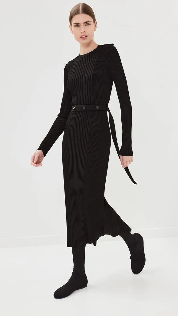 Proenza Schouler Lauryn Dress in Silk Viscose Knit 4