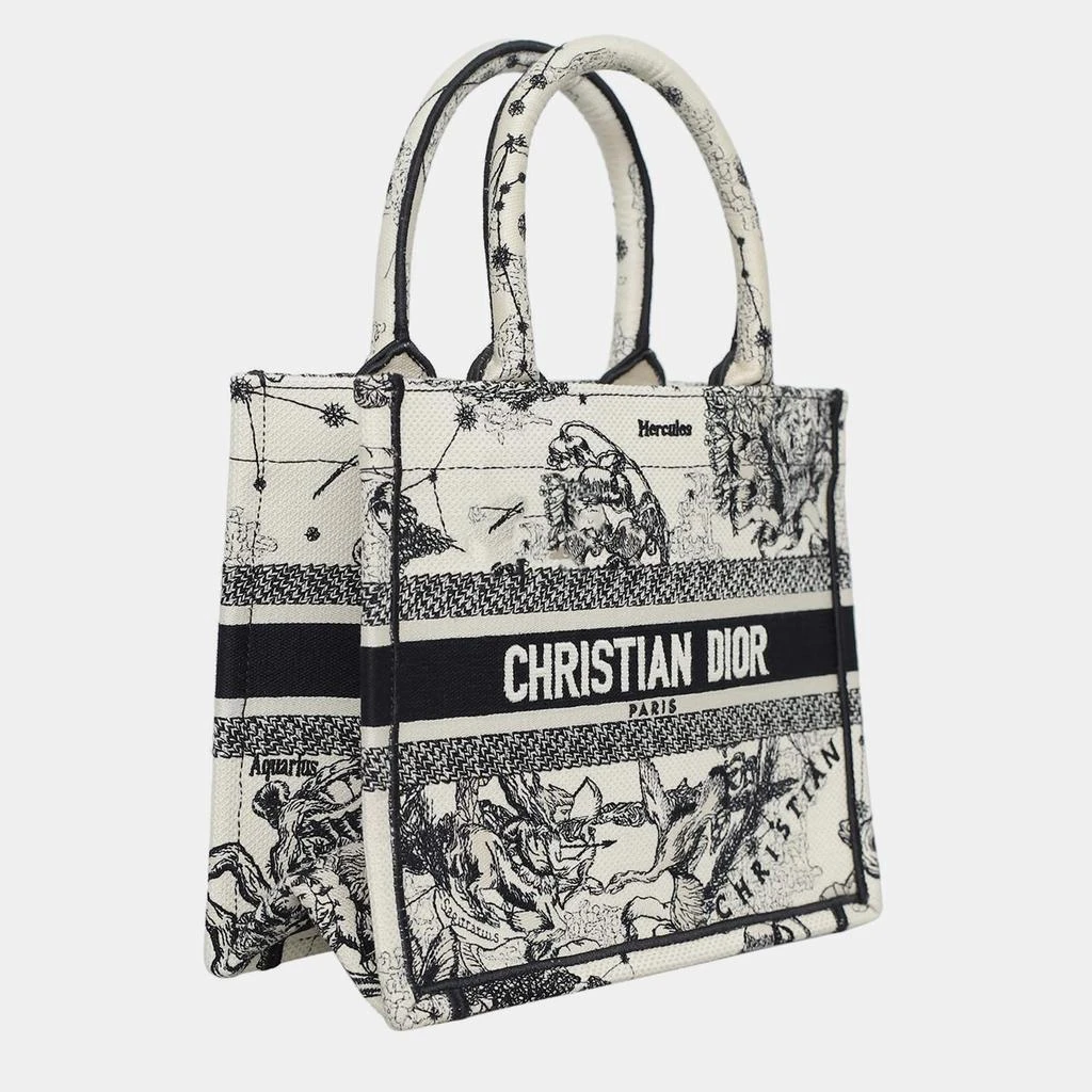 Dior Christian Dior Book Tote Bag 2