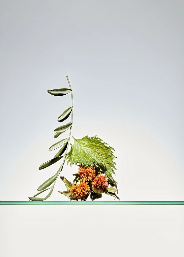 Zelens Omega Shiso Replenishing Serum 30ml 5
