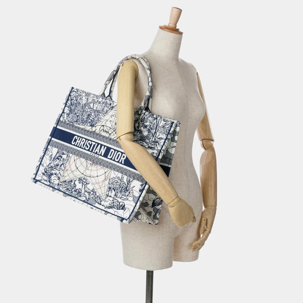 Dior Dior Large Around The World Book Tote 4