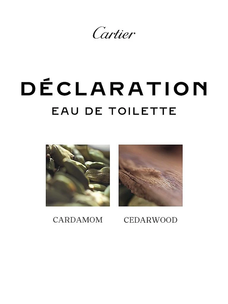 Cartier Déclaration Eau de Toilette 2