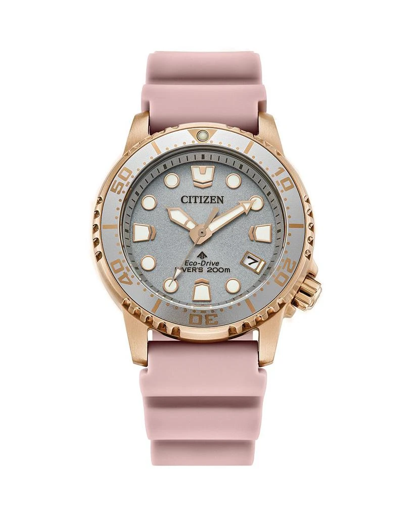 Citizen Eco-Drive Promaster Dive Watch, 36.5mm 1