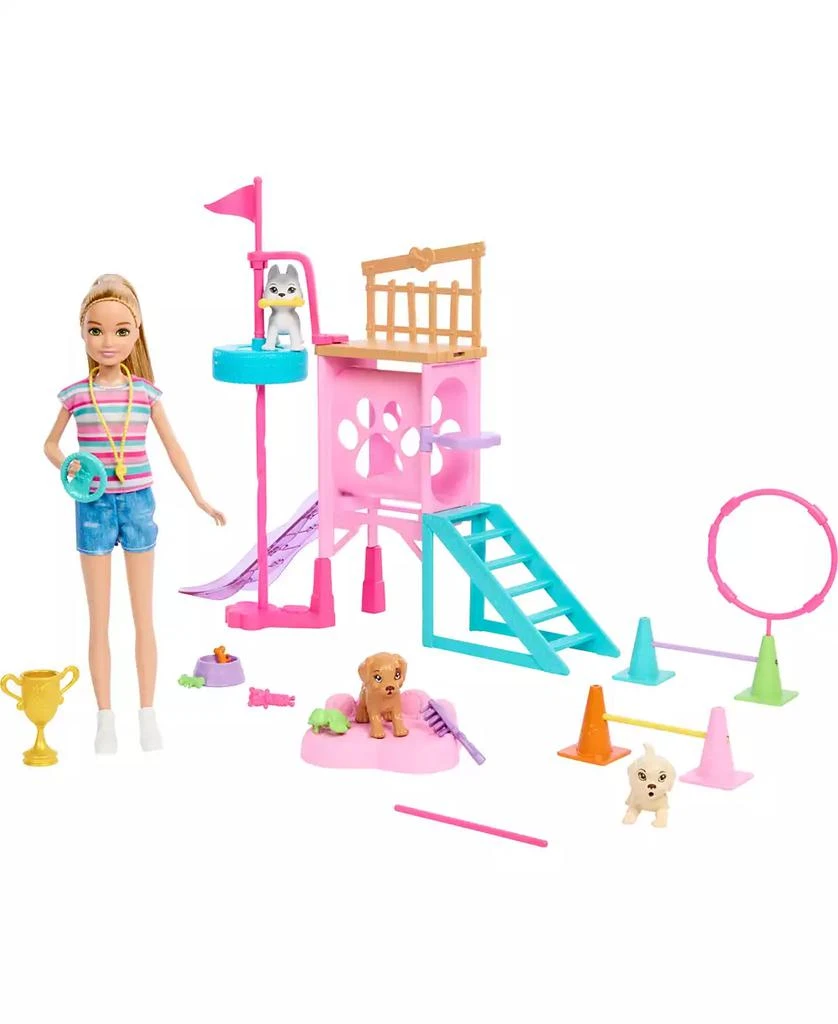 Barbie and Stacie to the Rescue Puppy Playground Play Set with Doll, 3 Pet Dog Figures, and Accessories 1