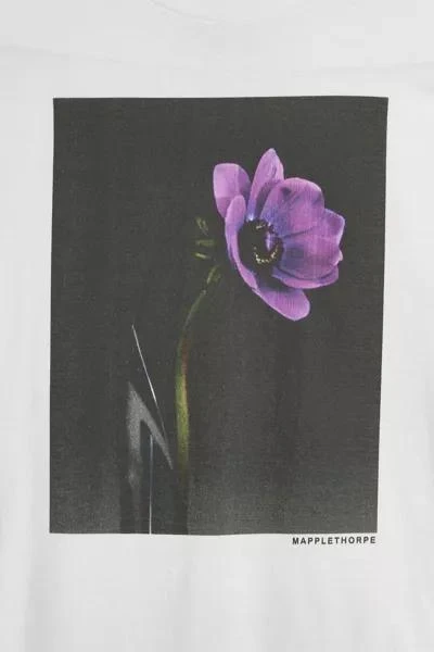 Urban Outfitters Robert Mapplethorpe Flower Tee 2