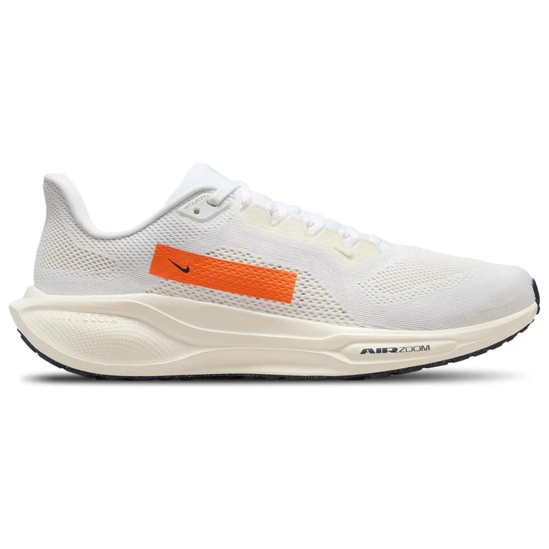 NIKE Nike Zoom Pegasus 10 PQ - Men's 1