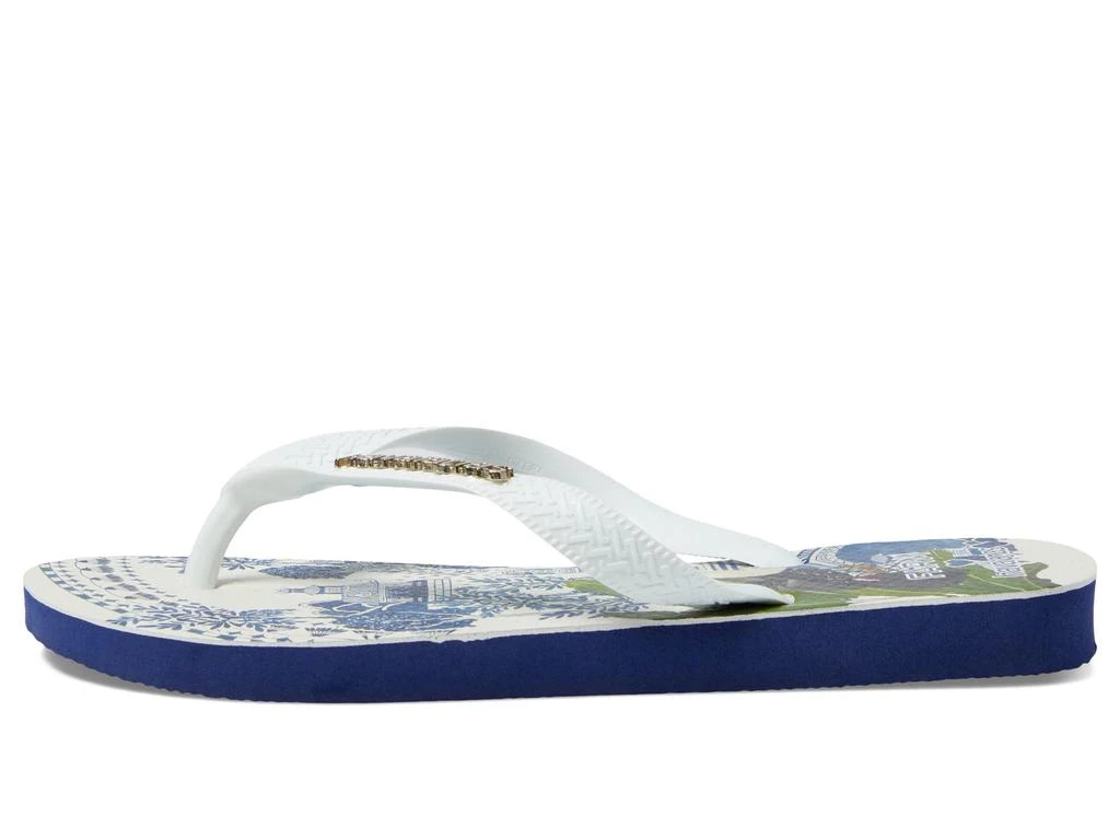 Havaianas Farm Rio Toucan Flip-Flop 4