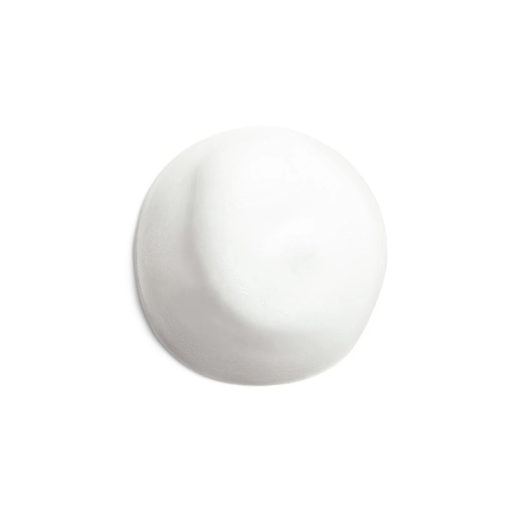 Shiseido Complete Cleansing Microfoam 2