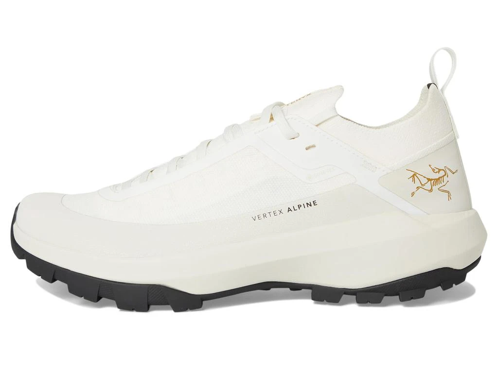 Arc'teryx Vertex Alpine GTX 4