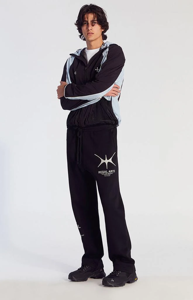 PacSun Regal Arts Baggy Sweatpants 1