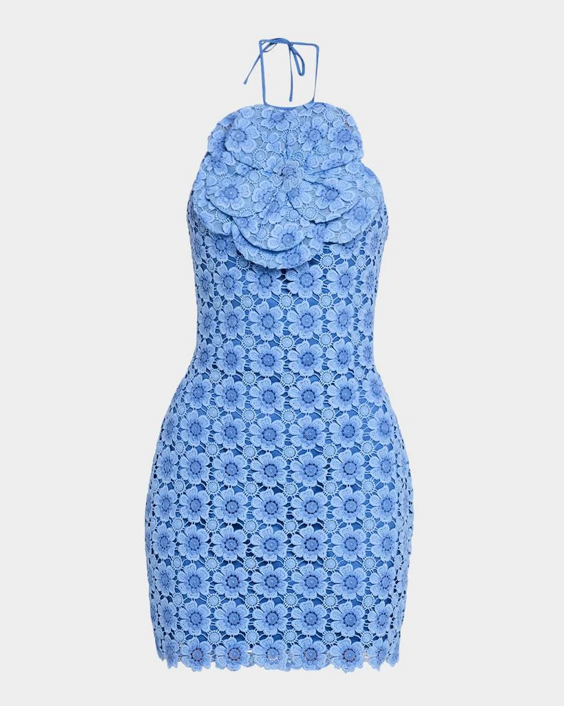 Bodycon Floral Lace Halter Mini Dress On Sale Now with Up to 57% Off | Discover Exclusive Deals & Savings at BeyondStyle Authentic Jovani Women| dresses|women's clothing|women with Limited-Time Discounts, Free Bodycon Floral Lace Halter Mini Dress On Sale Now with Up to 57% Off | Discover Exclusive Deals & Savings at BeyondStyle Authentic Jovani Women| dresses|women's clothing|women with Limited-Time Discounts, Free