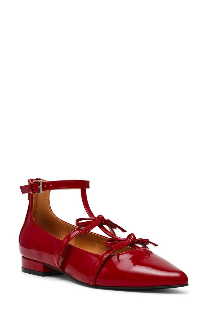 Dolce Vita Dreams Pointed Toe Flat 1