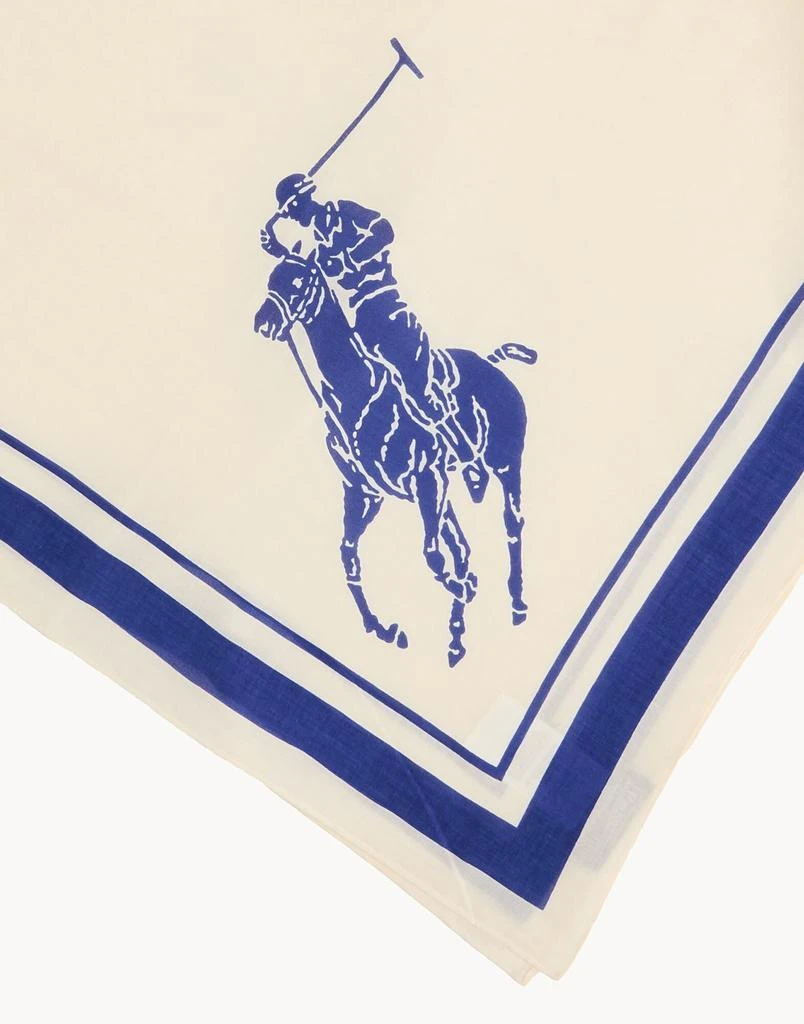 Ralph Lauren Scarves and foulards 2