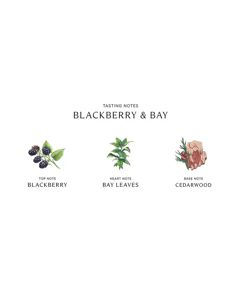 Jo Malone London Blackberry & Bay Scented Candle 4