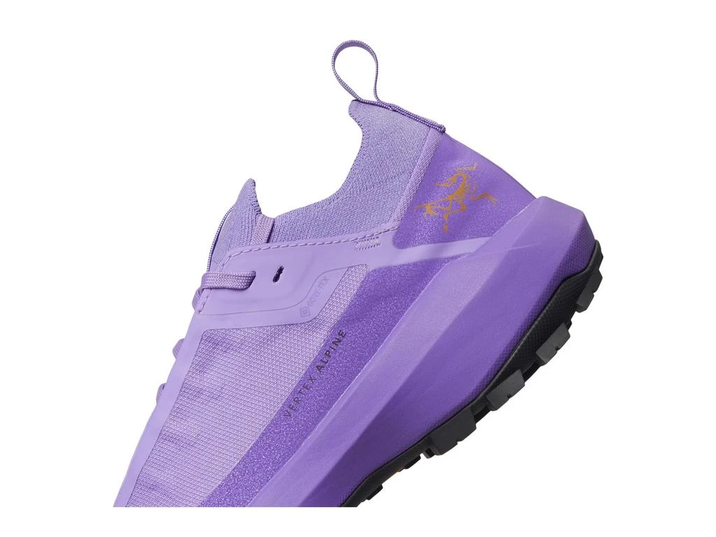 Arc'teryx Vertex Alpine GTX 6