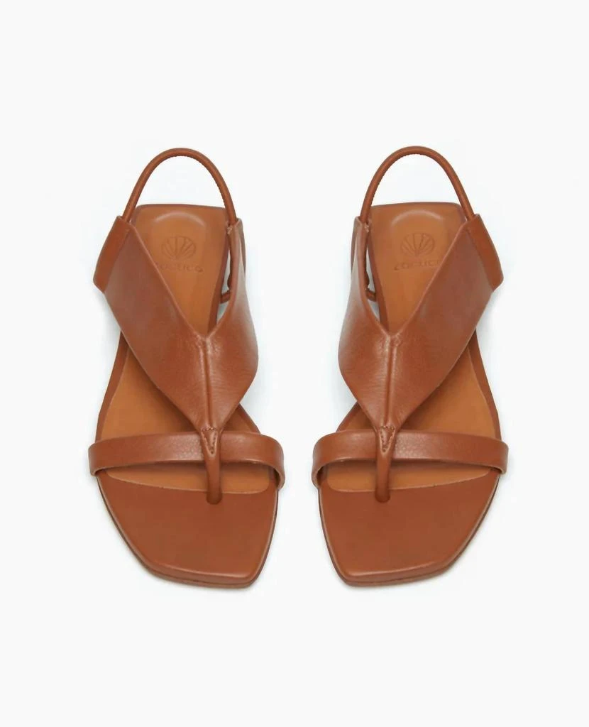 Coclico Women's Finch Sandal In Cuolo Leather 1