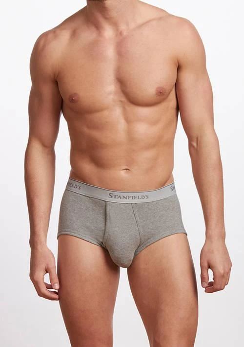 Stanfield's Mens Premium 100 Cotton Brief Underwear  3 Pack 1