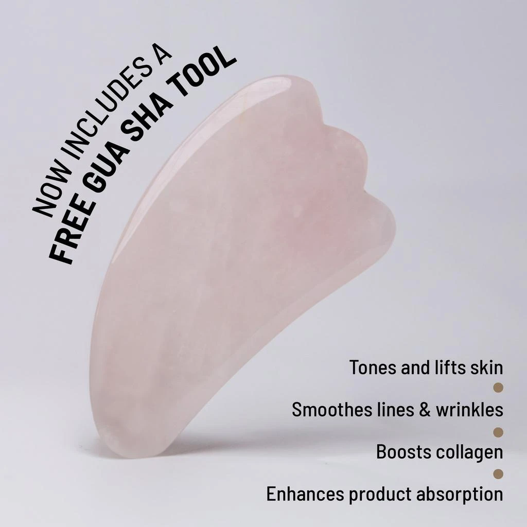 Dr. Brandt NECK TIGHTENING CREAM + GUA SHA 3