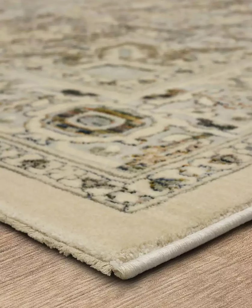 Karastan Divina Exalted 6'6" x 9'6" Area Rug 2