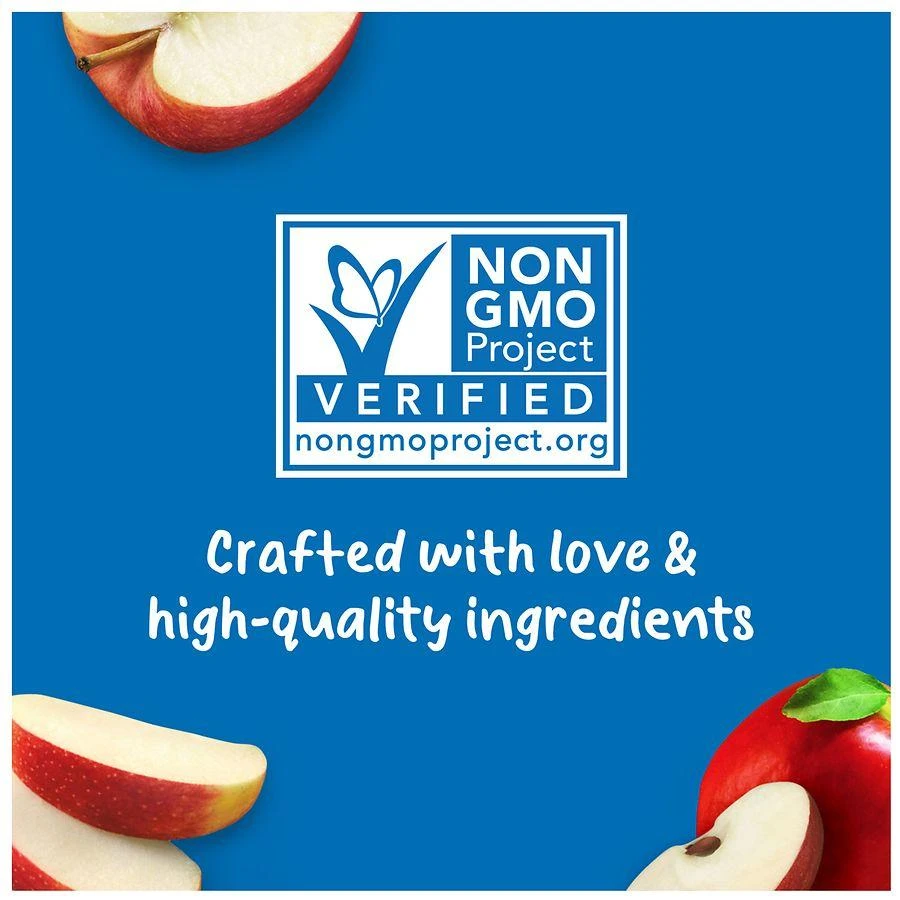 Gerber 1st Foods 1st Foods, Baby Food Apple 6