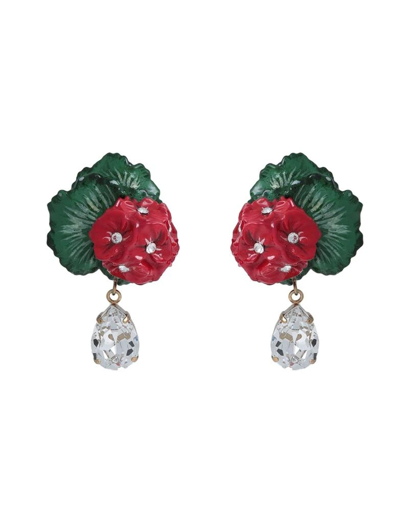 Dolce & Gabbana Earrings 1