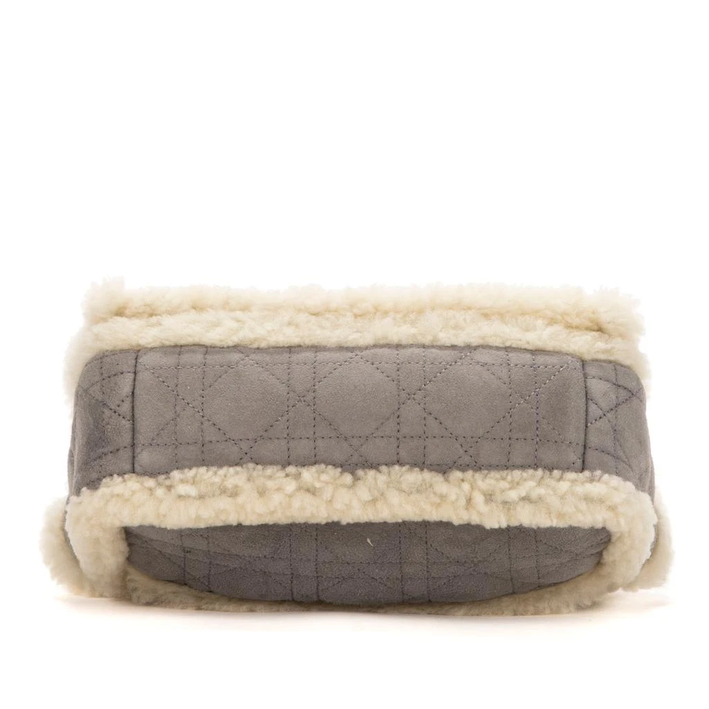 Dior Ltd. Ed. Caro Shearling 5