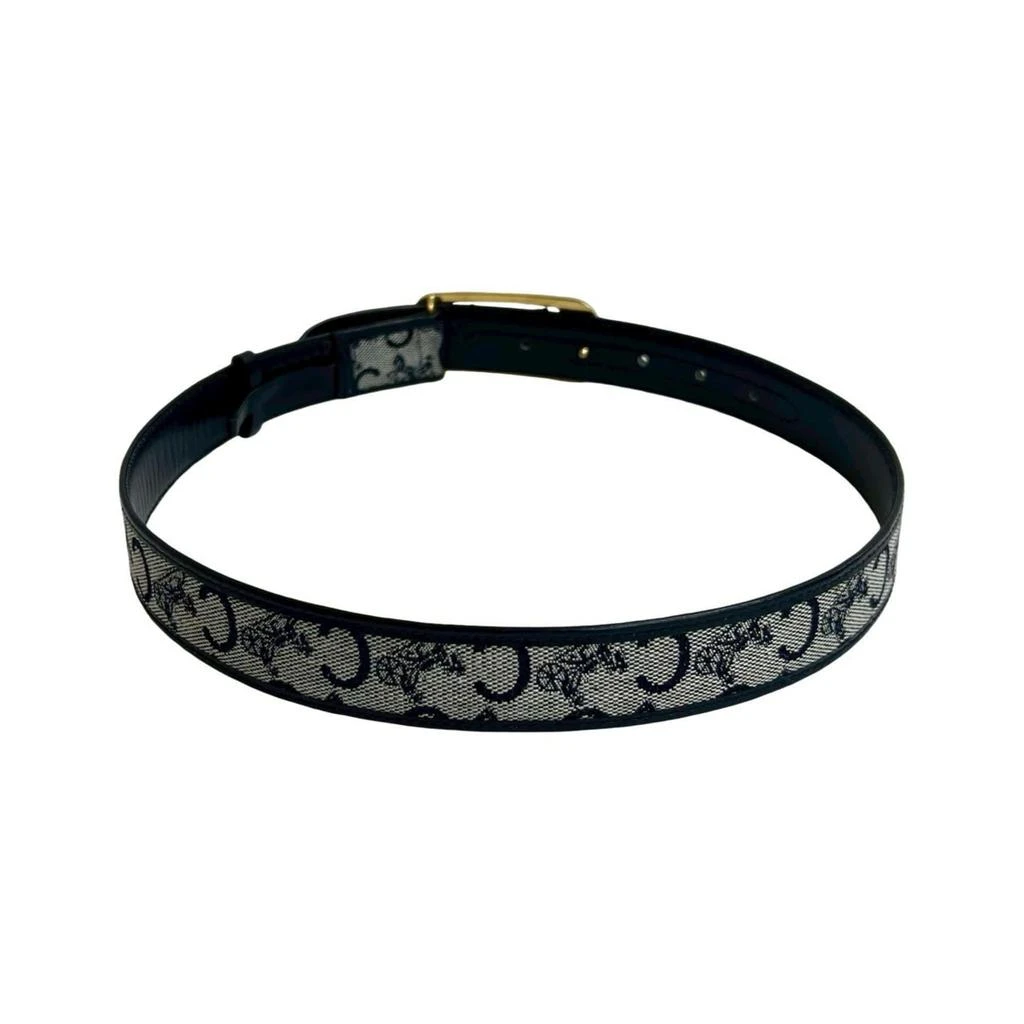 Celine Standard Belt (Pre-Owned) 2