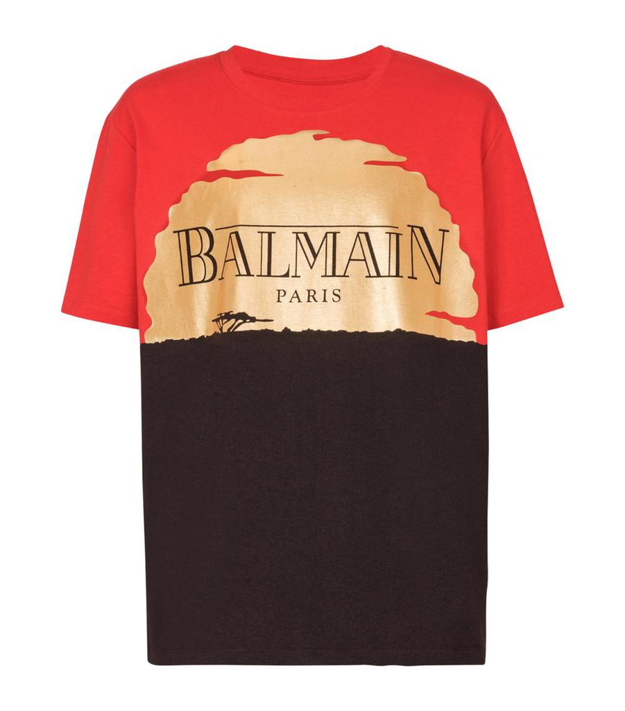 Store Balmain t shirts $480