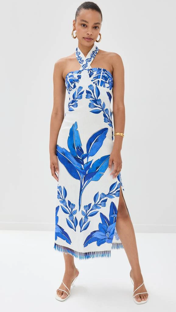 Farm Rio Blue Yard Off-White Sleeveless Maxi Dress 6